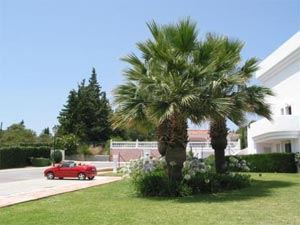 Photo of Apartment on Camping Cabopino 
