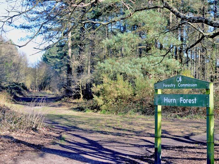 Photo of Lodge on Oakdene Forest Park
